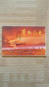 浪漫衣裙